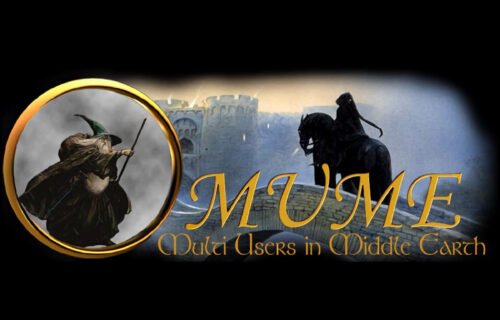 Multi-Users in Middle-earth