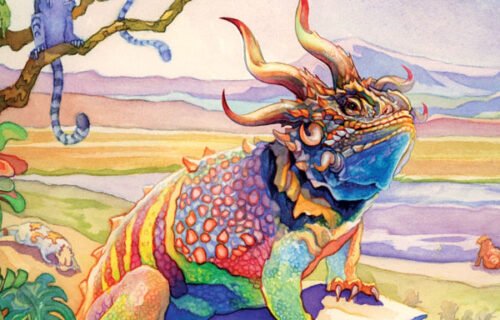 Evolution Board Game