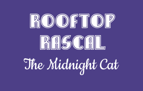 Rooftop Rascal: The Midnight Cat