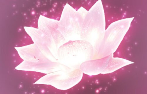 Lotus Digital