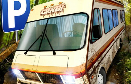 Camper Van Beach Resort
